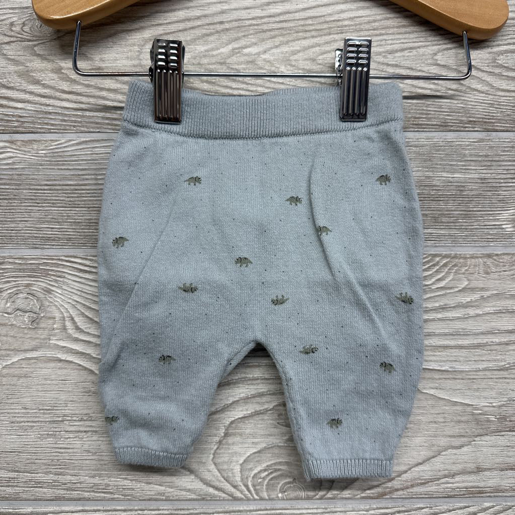 Knit Henley Sweater & Pants Dinosaurs Dots NB