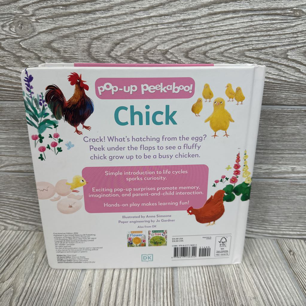 Peekaboo Chick Pop Up Book