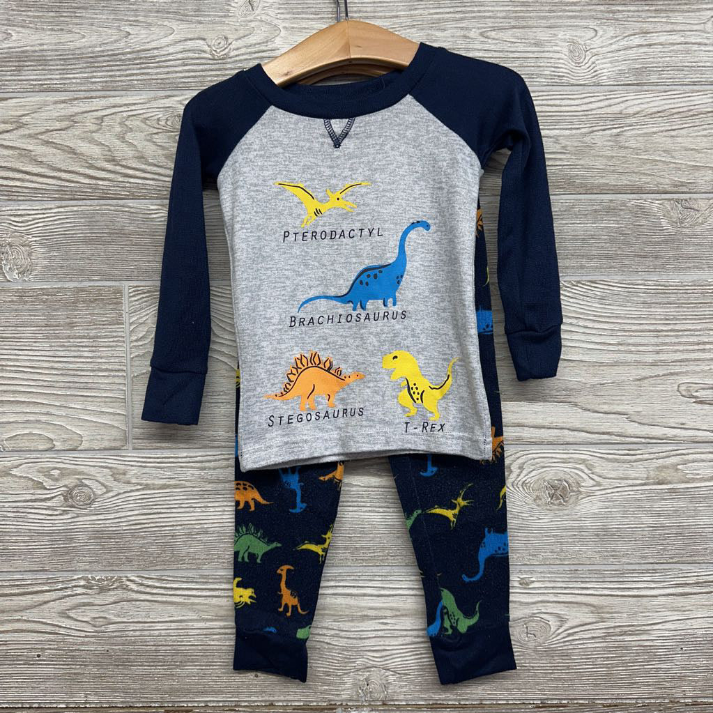 2 Pc Pj Dinosoaurs 2t