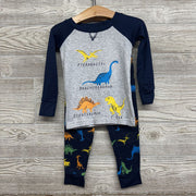 2 Pc Pj Dinosoaurs 2t