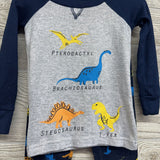 2 Pc Pj Dinosoaurs 2t