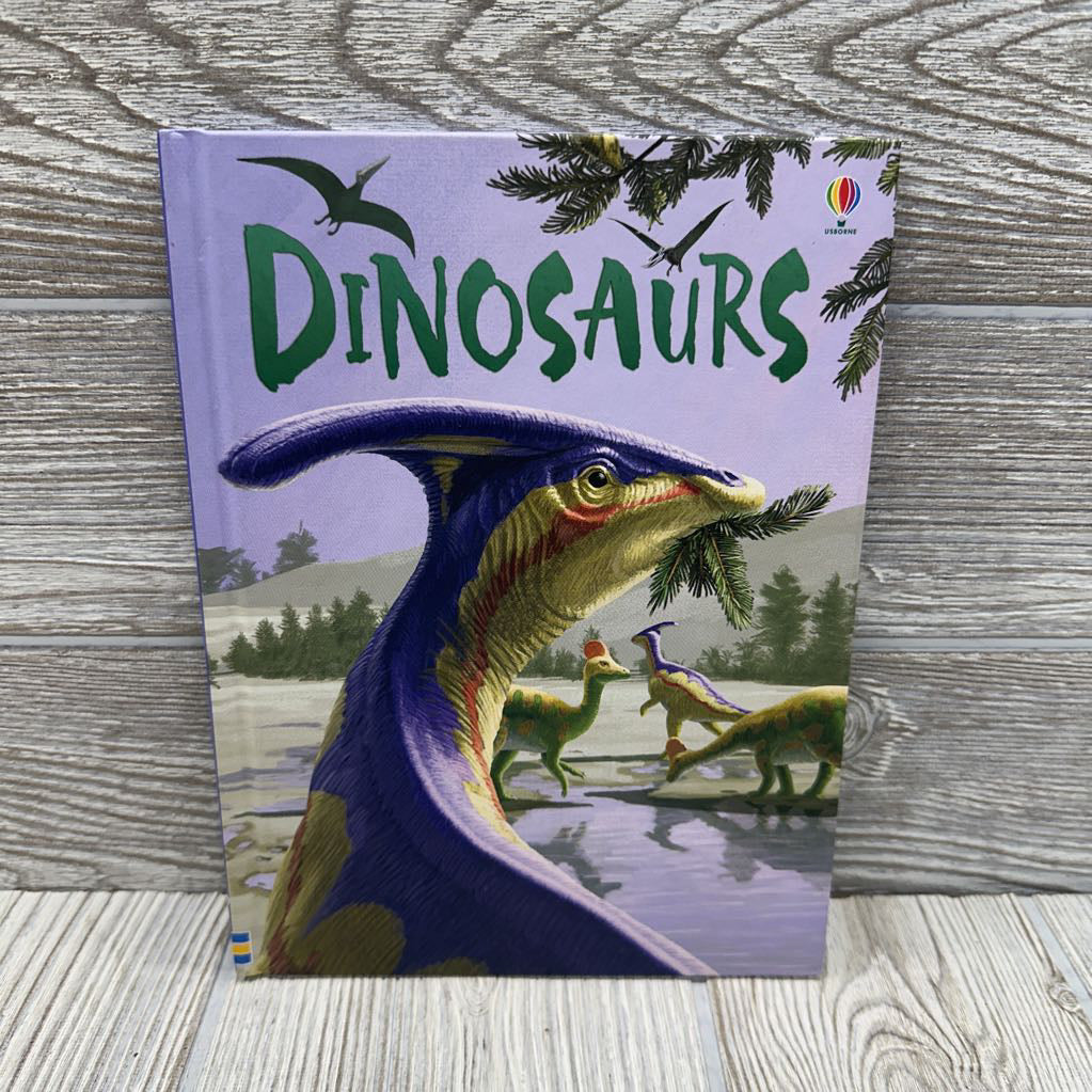 Usborne Beginners Dinosaurs Book