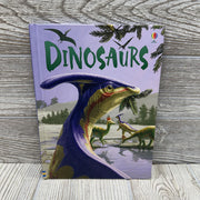 Usborne Beginners Dinosaurs Book