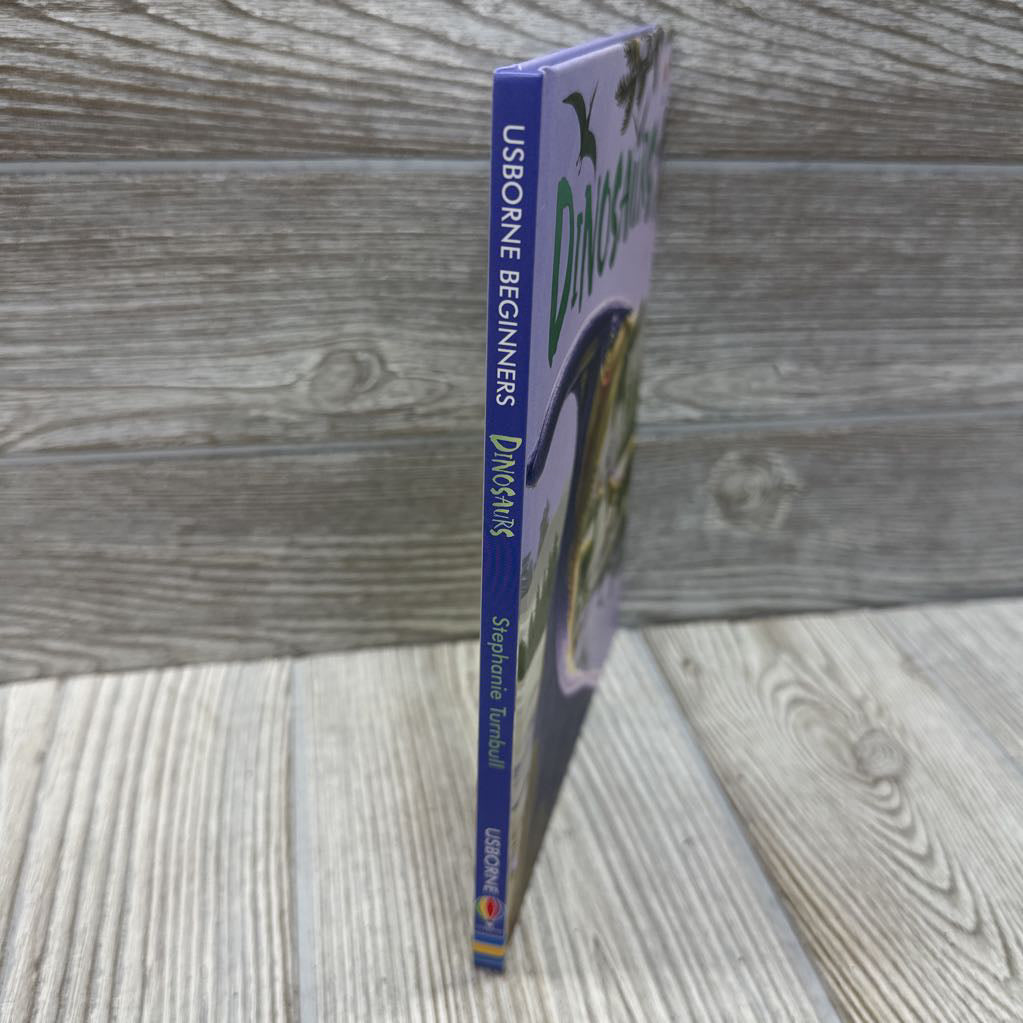 Usborne Beginners Dinosaurs Book