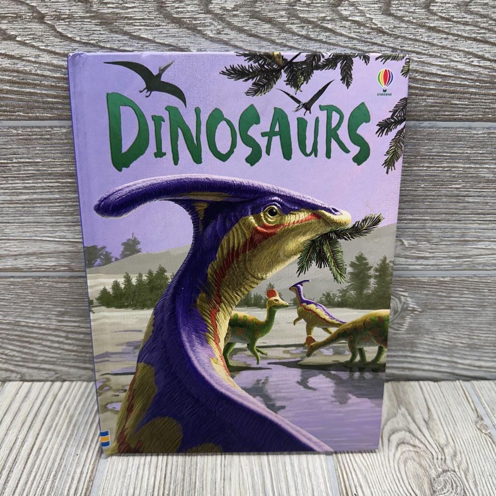 Usborne Beginners Dinosaurs Book