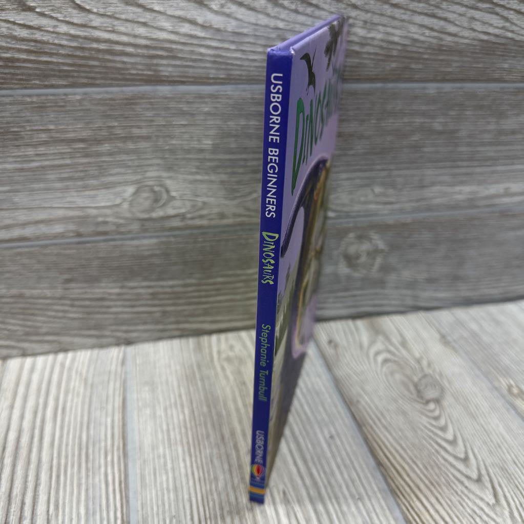 Usborne Beginners Dinosaurs Book