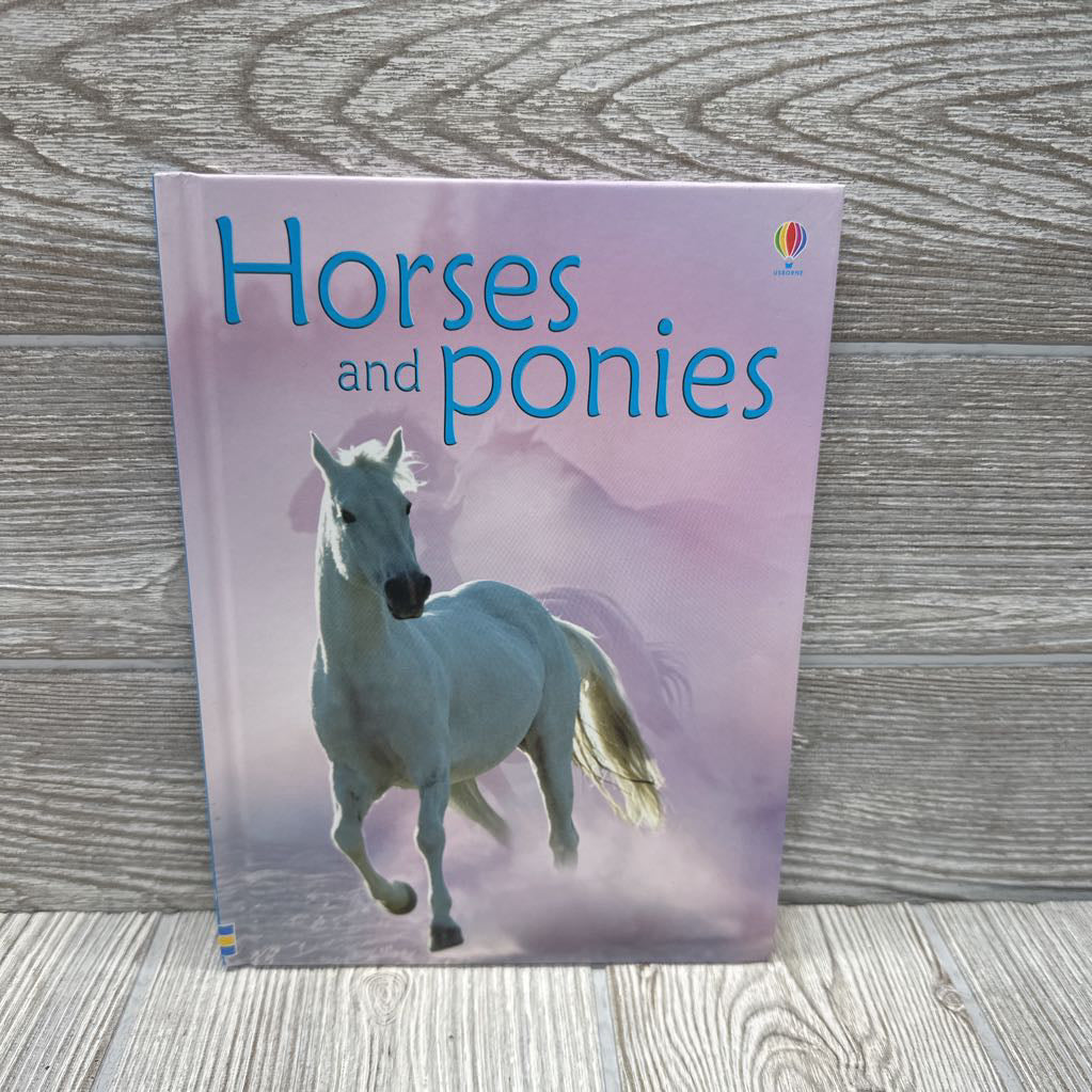 Usborne Beginners Horses & Ponies