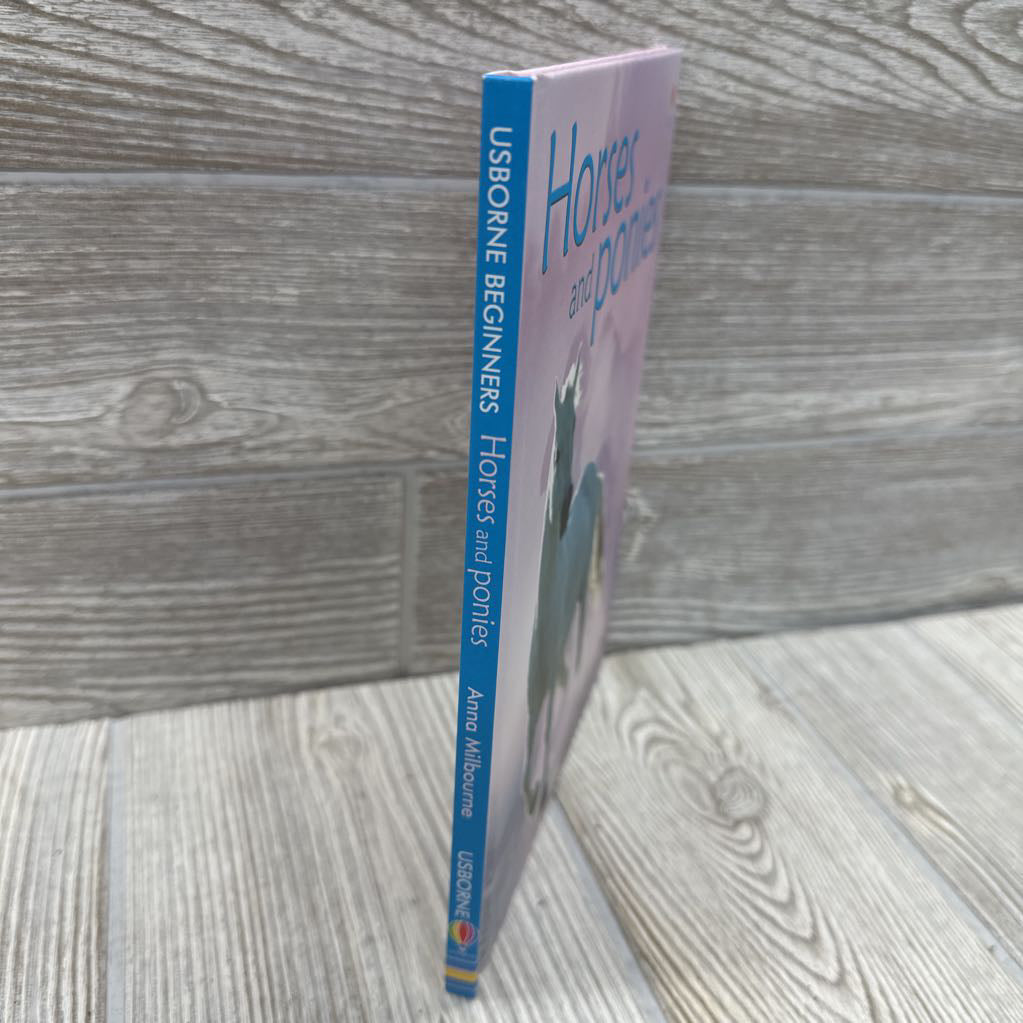 Usborne Beginners Horses & Ponies