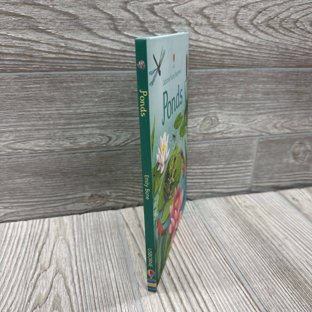 Usborne Beginners Pond Hardcover Book