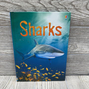 Usborne Beginners Sharks Hardcover Book