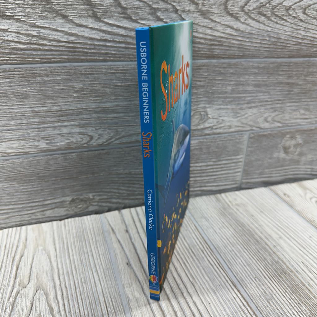 Usborne Beginners Sharks Hardcover Book