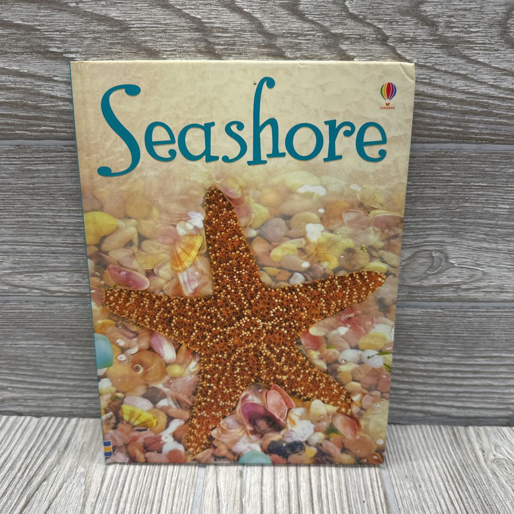 Usborne Beginners Seashore Hardcover Book