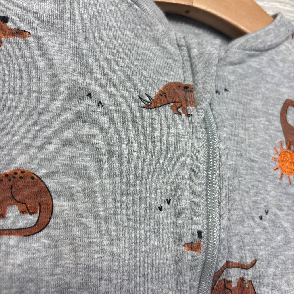 Sleeper Dinosaurs 3M