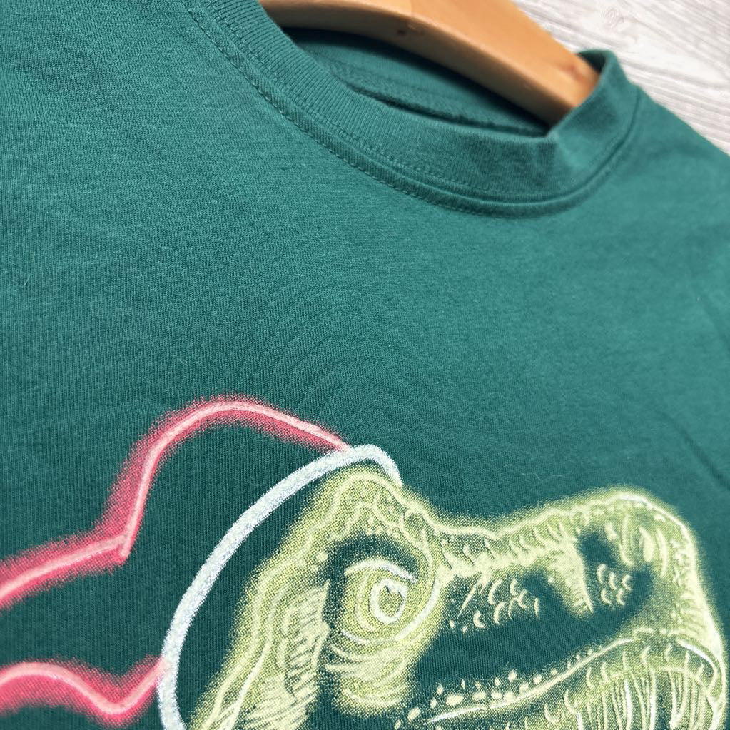 LS Shirt Dinosaur W/ Santa Hat 5