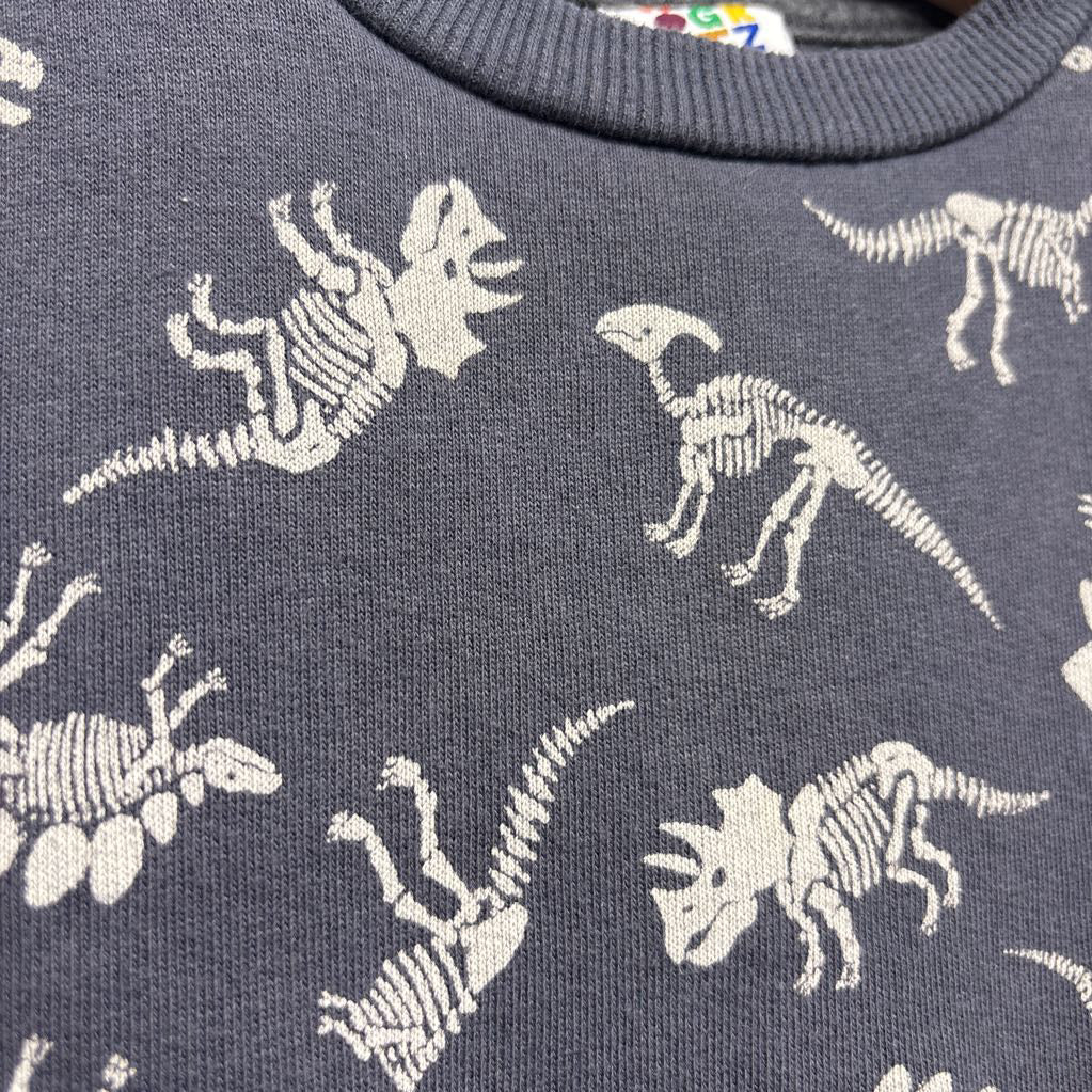 Crewneck Dinosaur Skeletons 3t