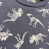 Crewneck Dinosaur Skeletons 3t