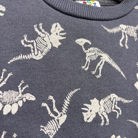 Crewneck Dinosaur Skeletons 3t