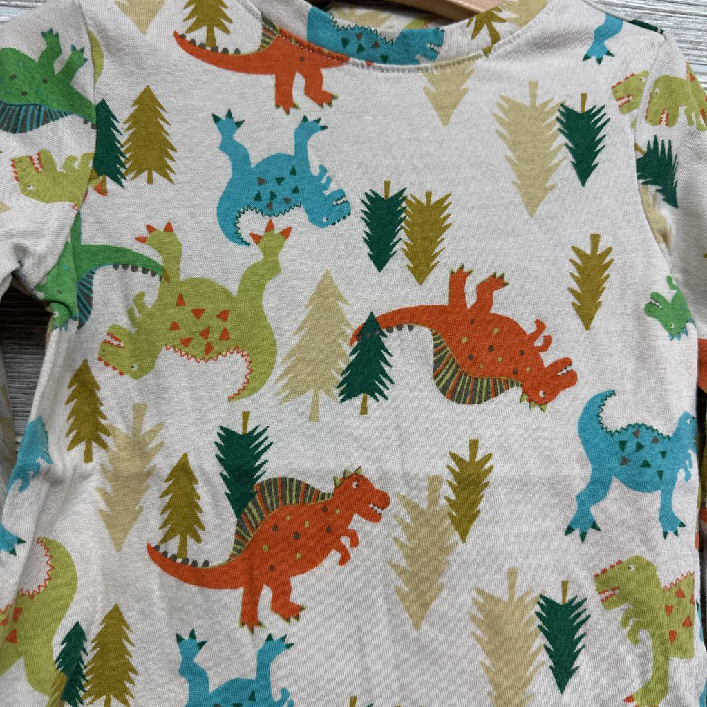 LS Shirt Dinosaurs 4t