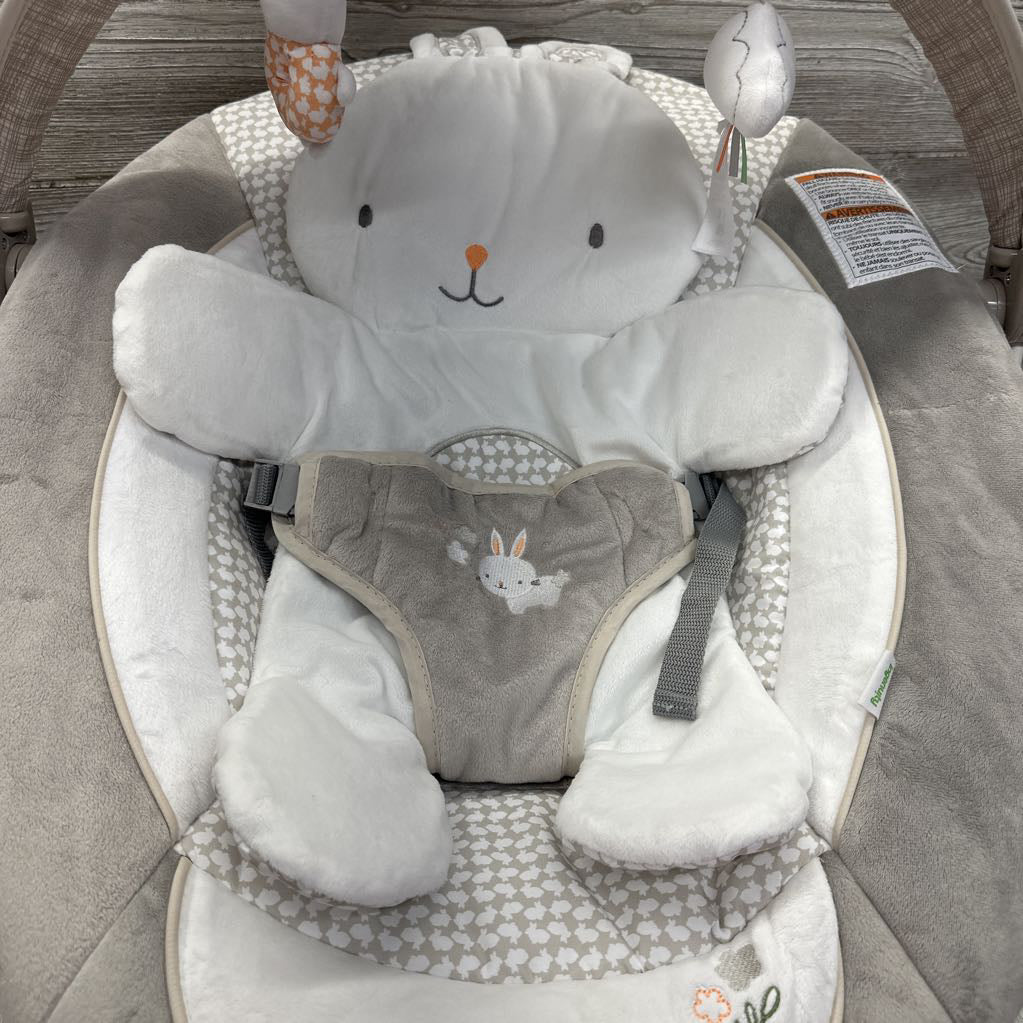NEW Twinkle Tails Bouncer