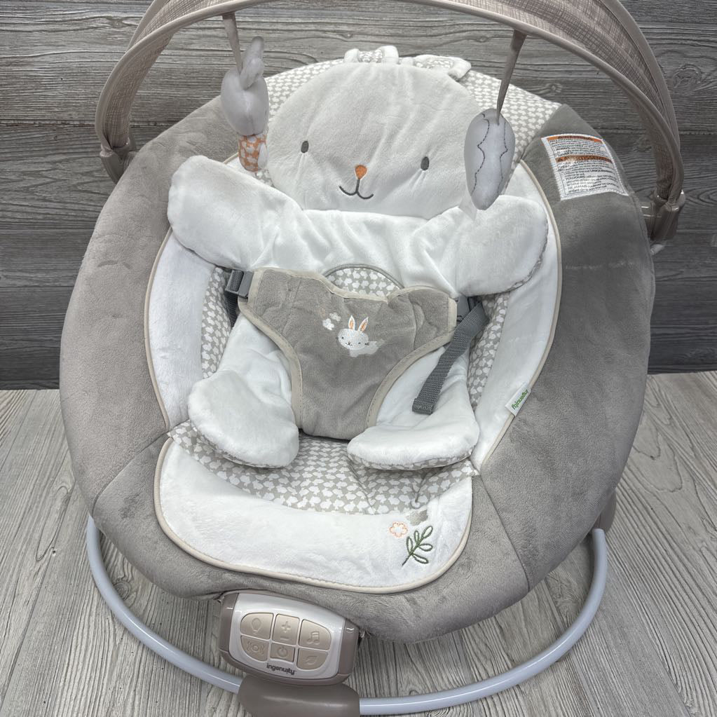 NEW Twinkle Tails Bouncer