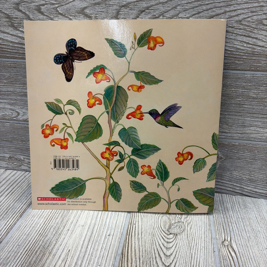 Flip, Float, Fly Seeds On The Move Paperback Book