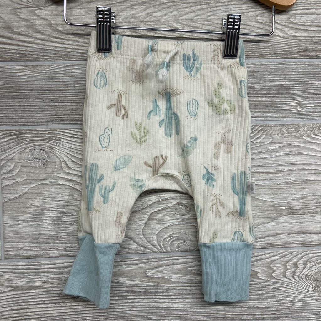 LS Ribbed Side Snap Shirt & Pants Cactus 0-3M