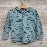 Waffle Knit Henley Shirt W/ Hood Dinosaurs 2t