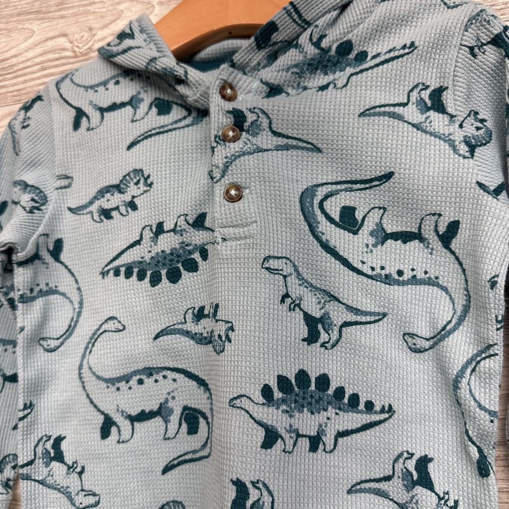 Waffle Knit Henley Shirt W/ Hood Dinosaurs 2t