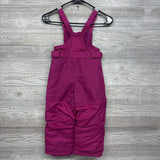 Snow Bibs 3t