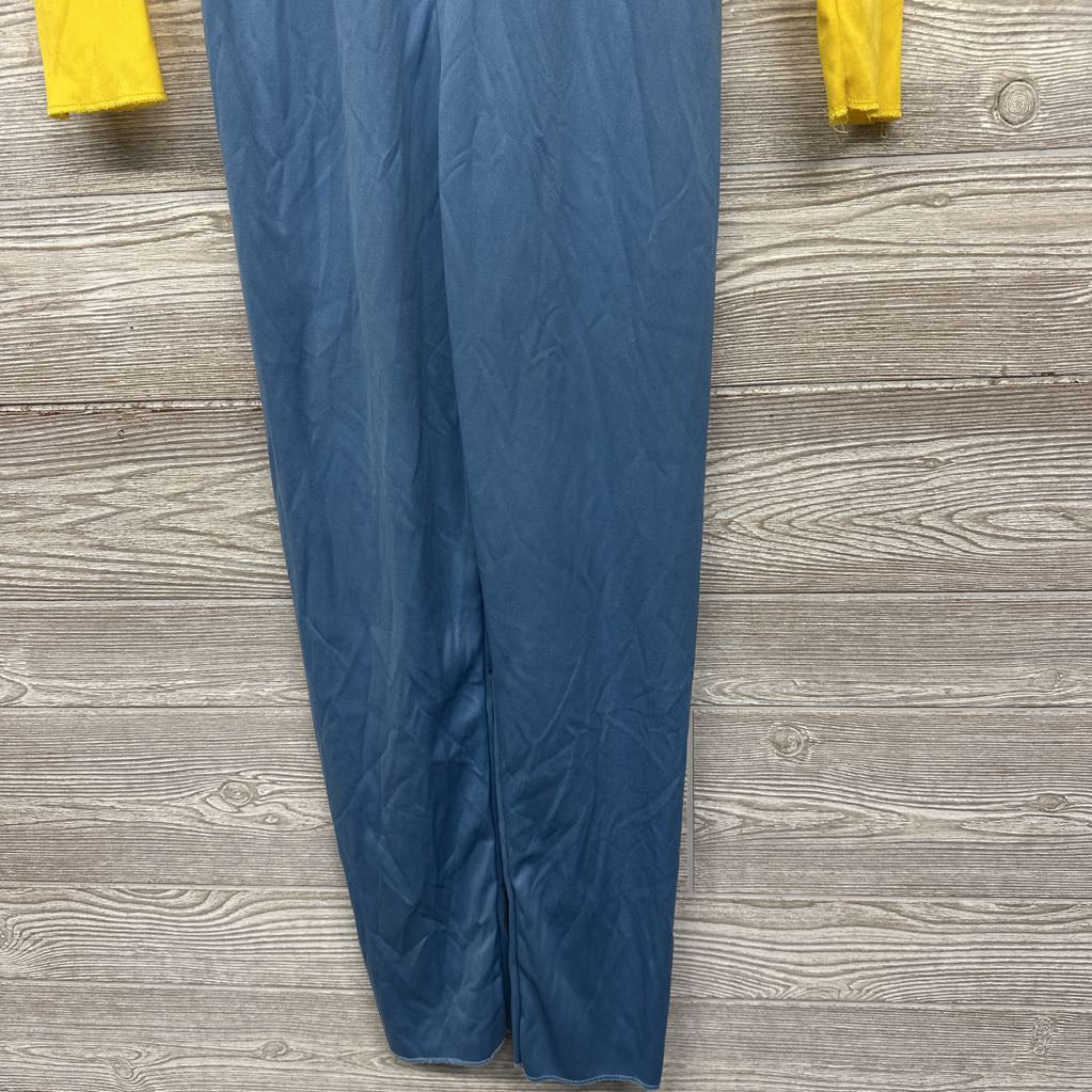 Minions Costume