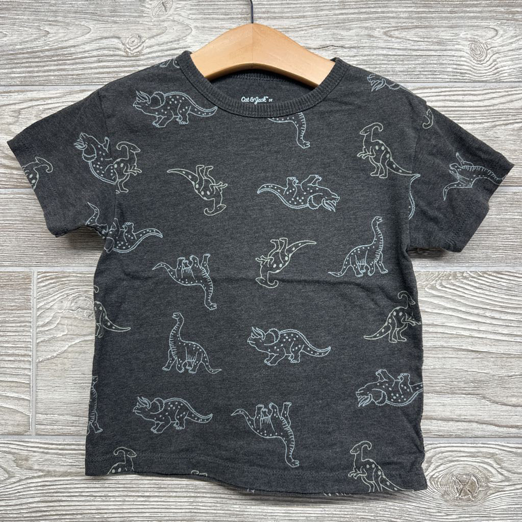 Shirt Dinosaurs 3t
