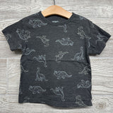 Shirt Dinosaurs 3t