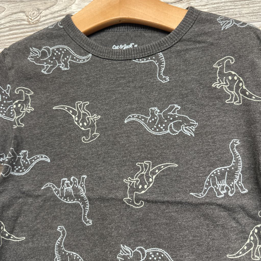 Shirt Dinosaurs 3t