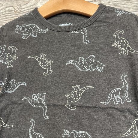 Shirt Dinosaurs 3t