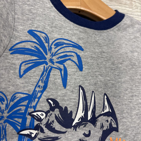 2 Pc Pj Triceratops 12M