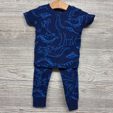 2 Pc Pj Dinosaurs 12M