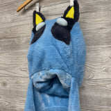 Hooded Blanket