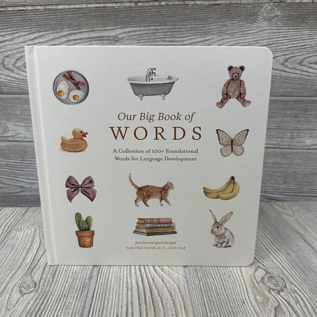 Our Big Book Of Words Board Book