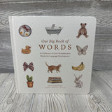 Our Big Book Of Words Board Book