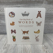 Our Big Book Of Words Board Book