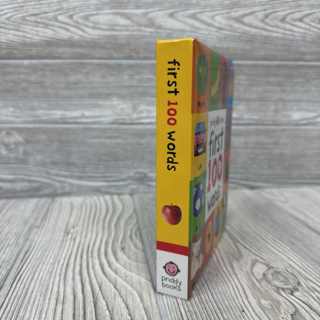 First 100 Words Board Book
