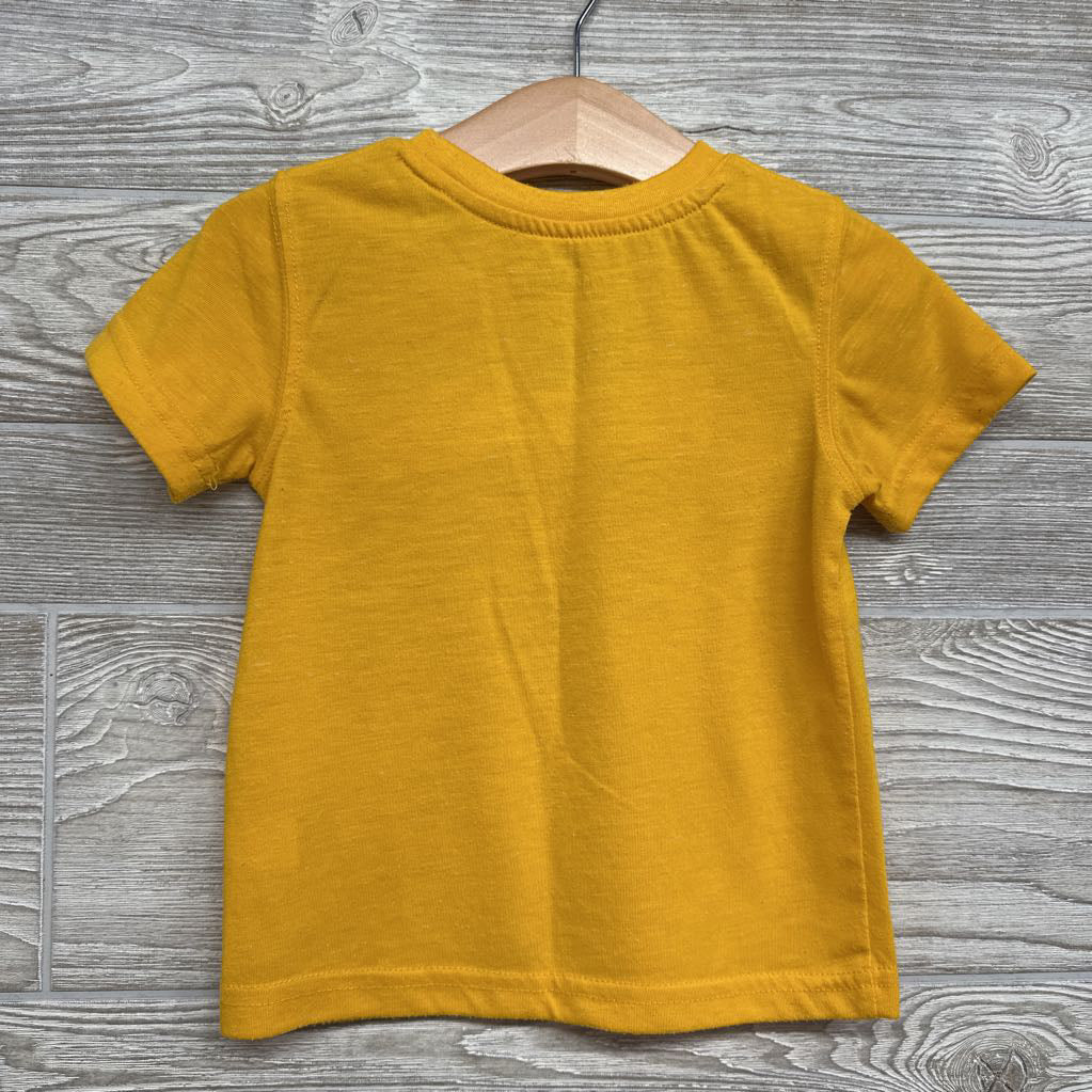 Iowa State Shirt 2t