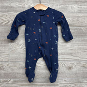 Sleeper Mountains, Bears, Buffalo 3M