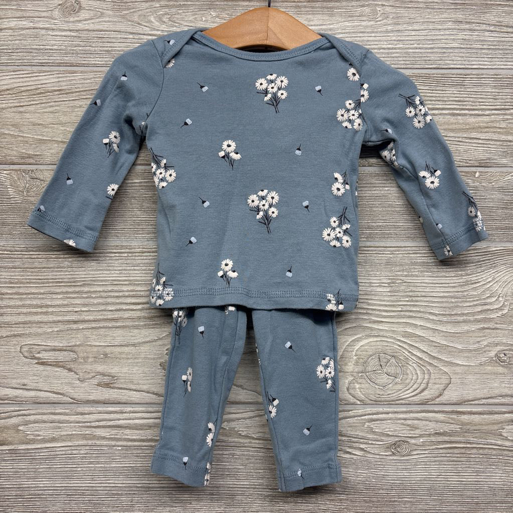 LS Shirt & Pants Flowers 6M