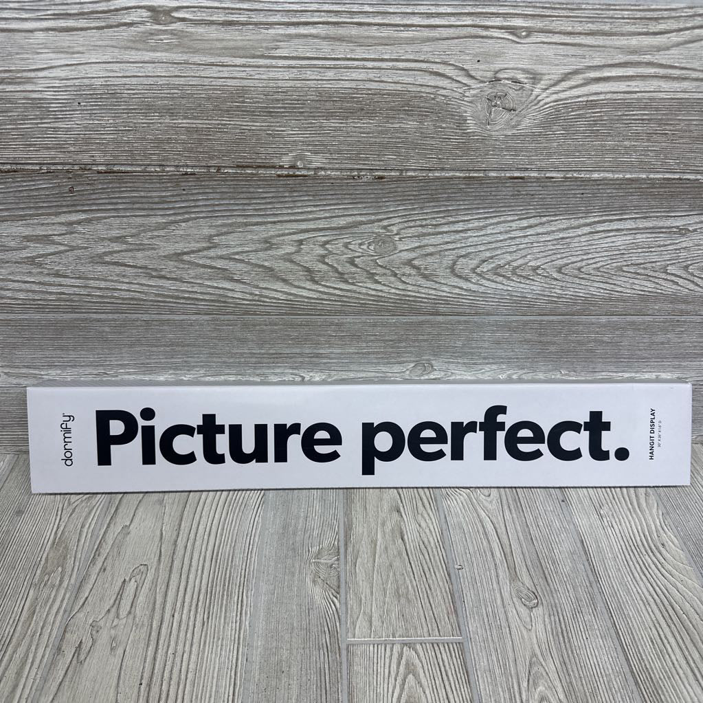 NEW Picture Perfect Hangit Display