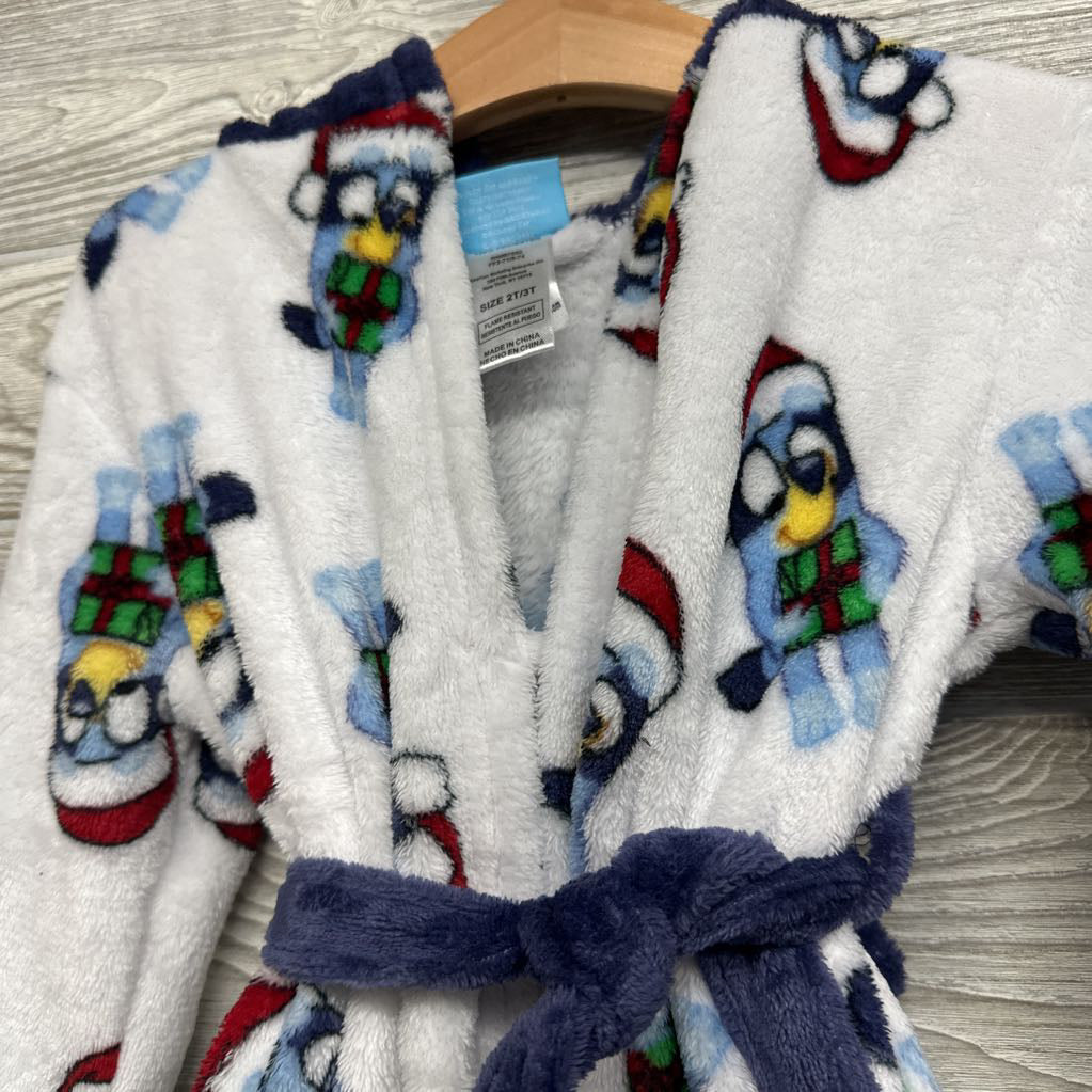 Robe Character 2-3t