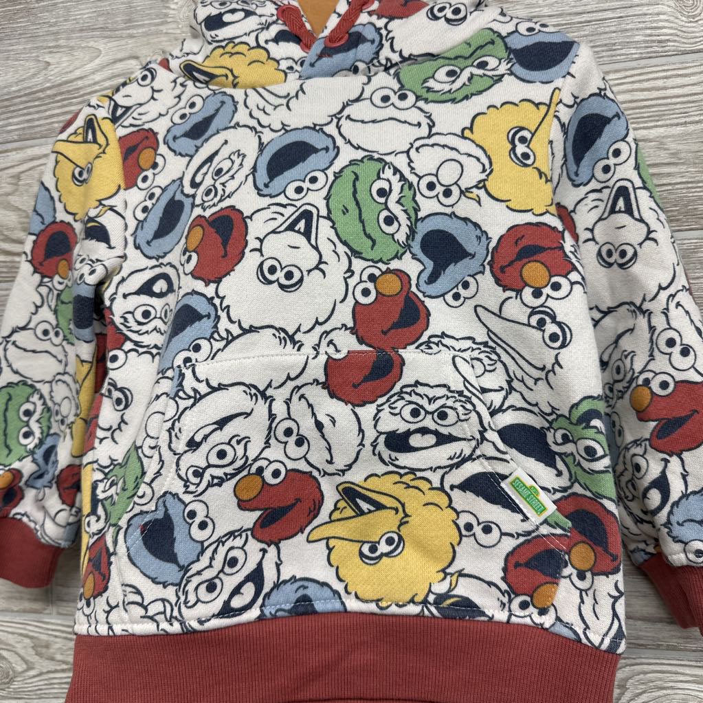 Character Hoodie & Sweatpants 2t