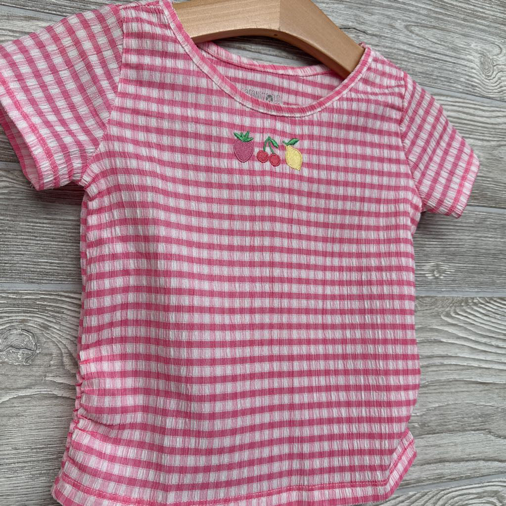 Gingham Shirt Fruit 2t
