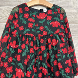Sheer Dress Flowers 5t