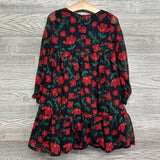 Sheer Dress Flowers 5t